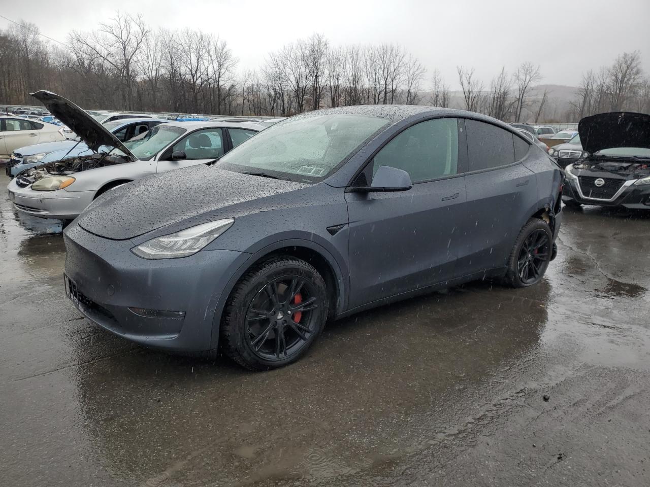 2022 Tesla Model Y Серый vin: 7SAYGDEE8NF308605
