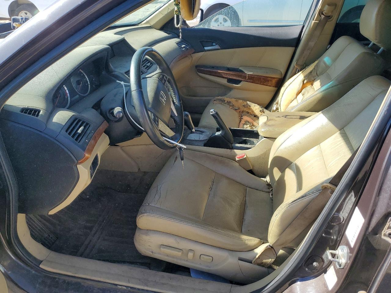 2011 Honda Accord Exl Gray vin: 1HGCP2F85BA088222