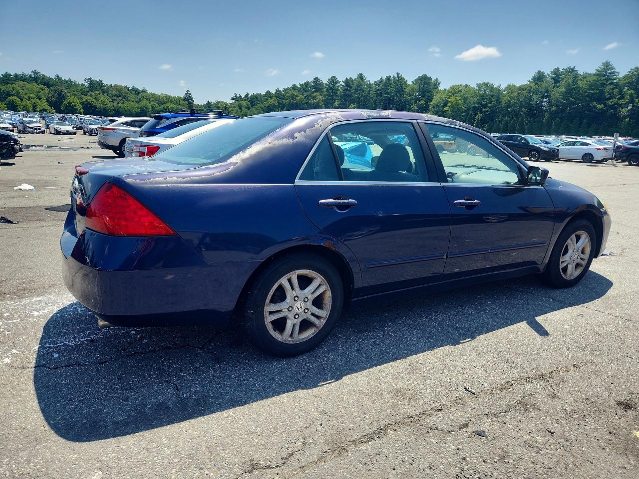 2006 Honda Accord Se Blue vin: 1HGCM56316A173790