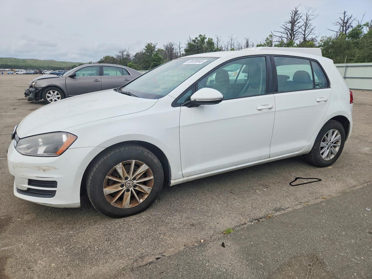 2015 Volkswagen Golf White vin: 3VW217AUXFM008836