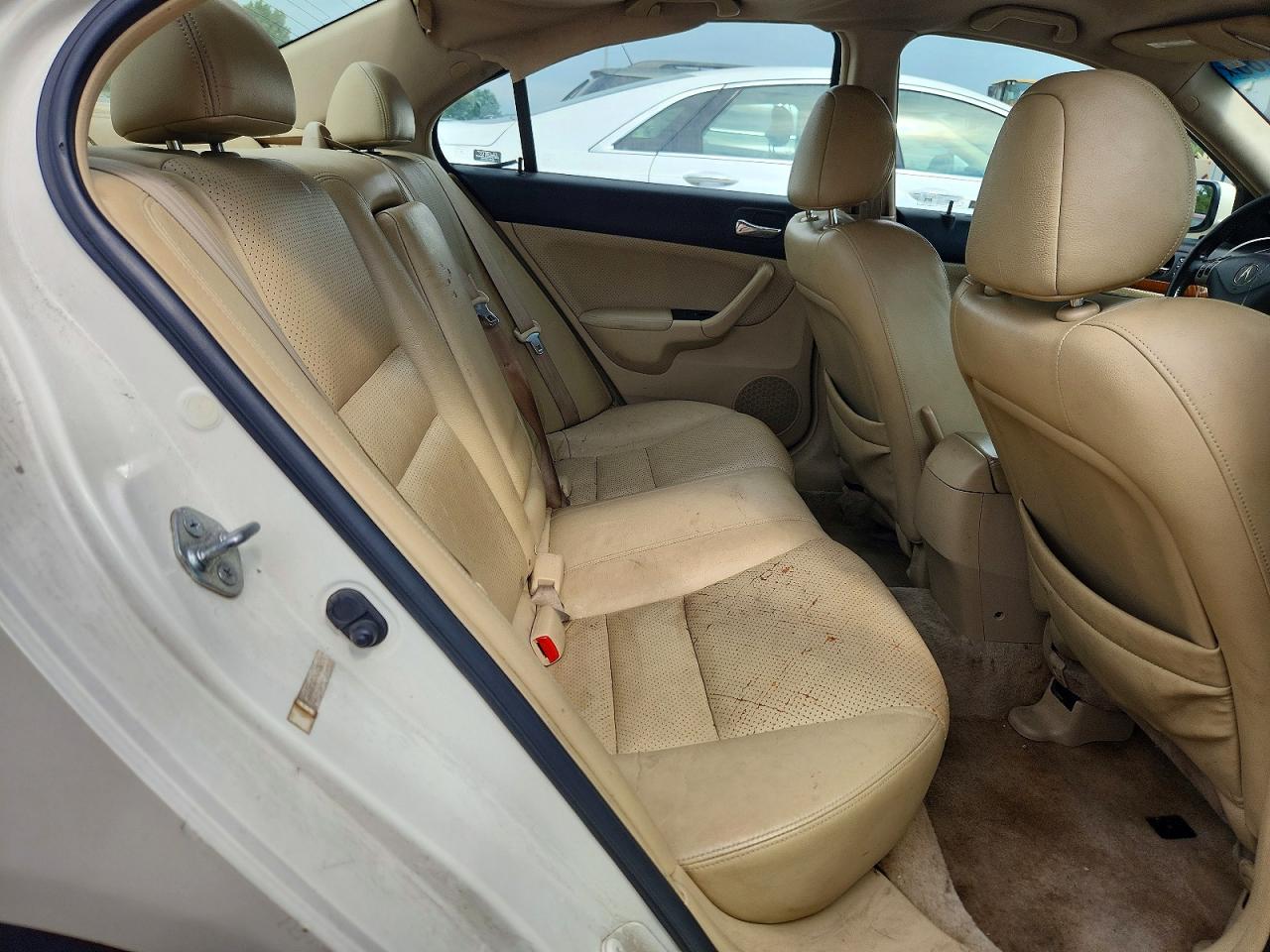 2006 Acura Tsx White vin: JH4CL96976C036577