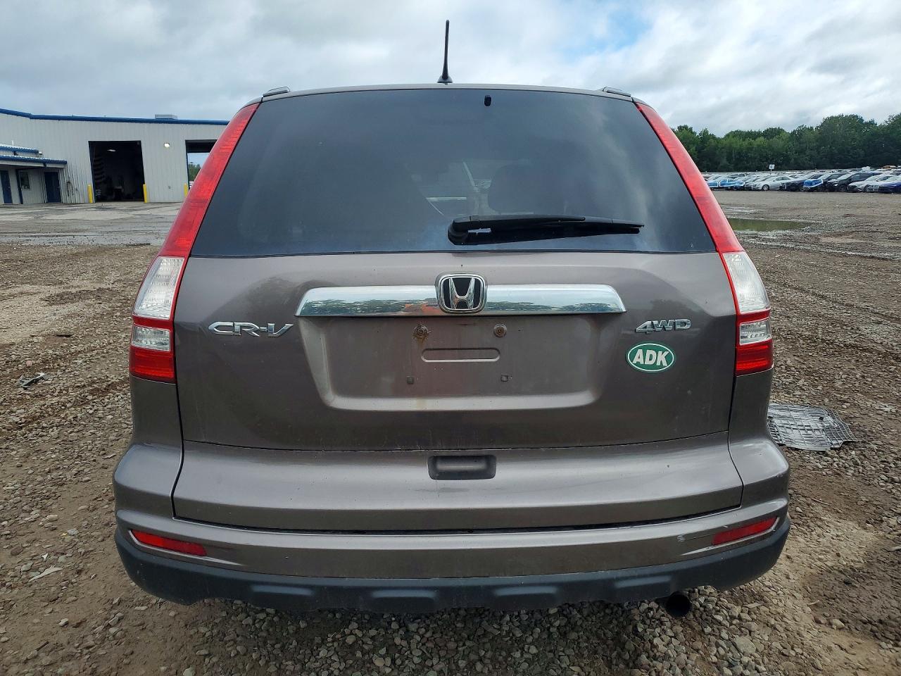 2010 Honda Cr-v Tan vin: 5J6RE4H59AL076651