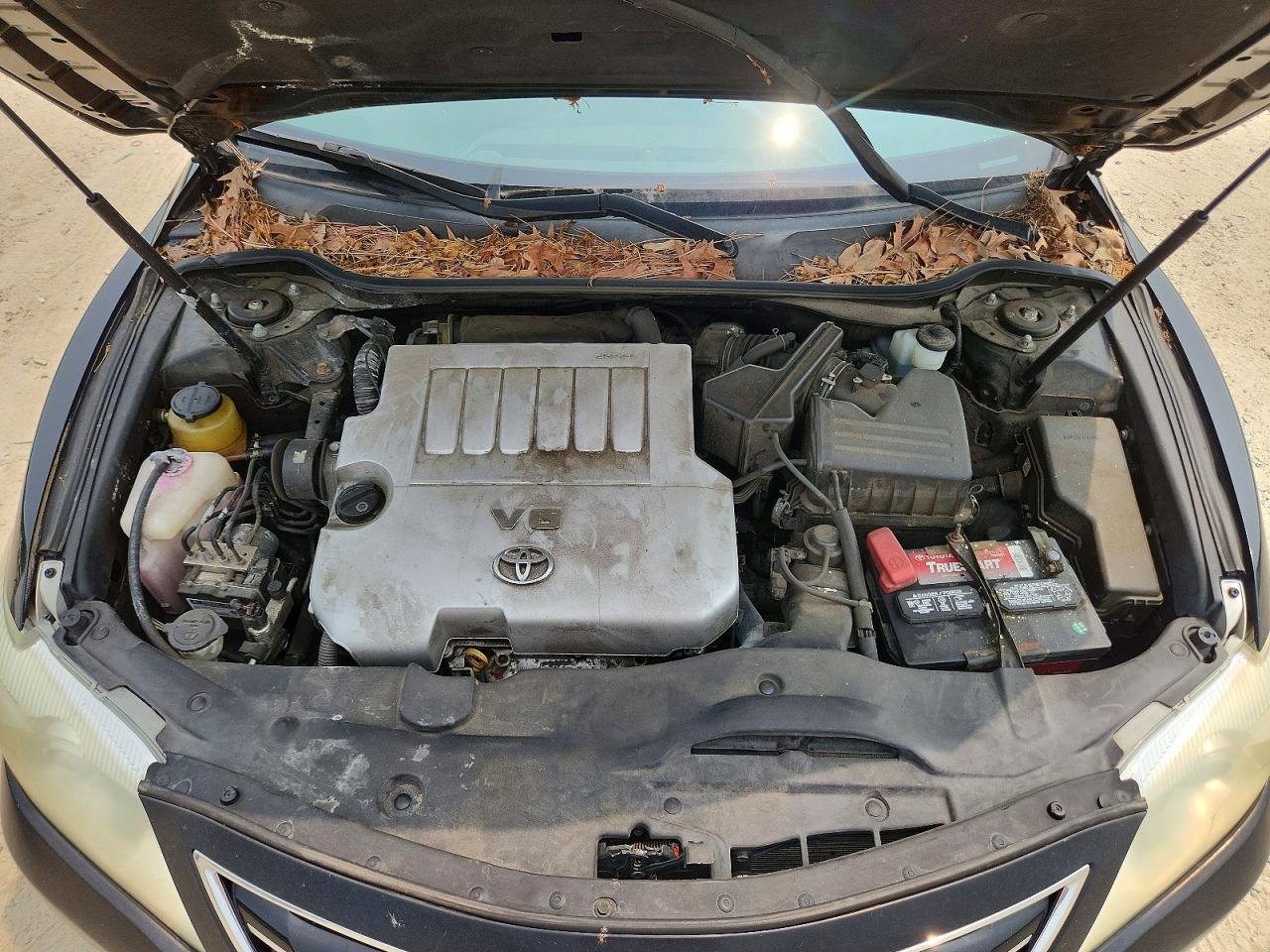 2011 Toyota Camry Xle V6 Black vin: 4T1BK3EK3BU117786