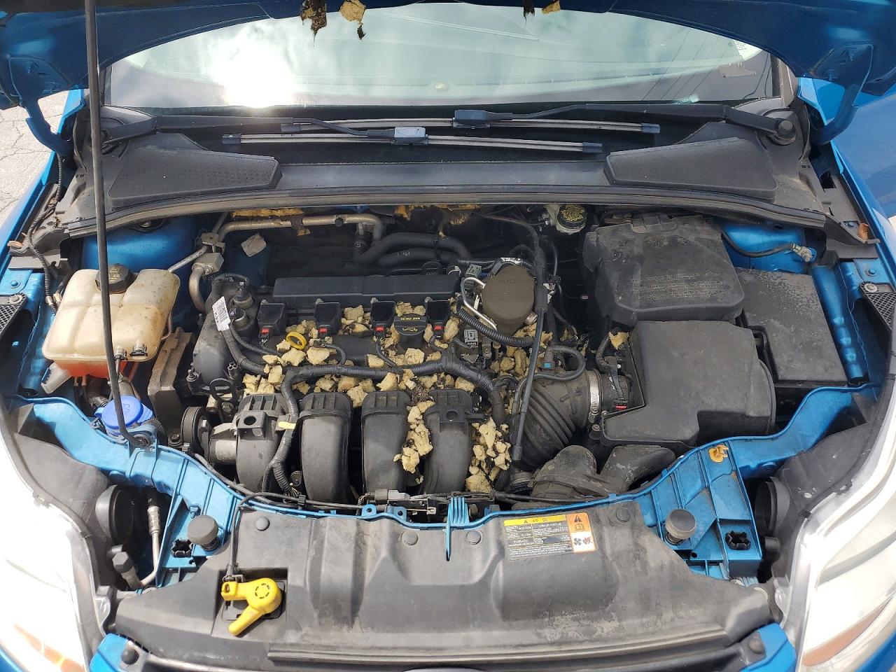 2014 Ford Focus Titanium Синий vin: 1FADP3N28EL174421