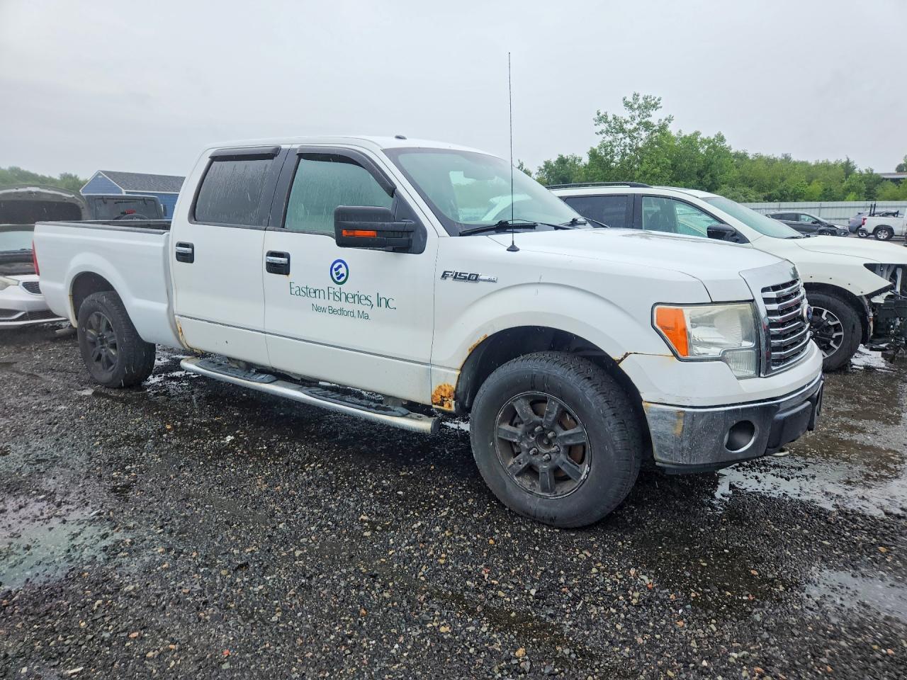 2010 Ford F150 Supercrew Белый vin: 1FTFW1EV7AFC94496