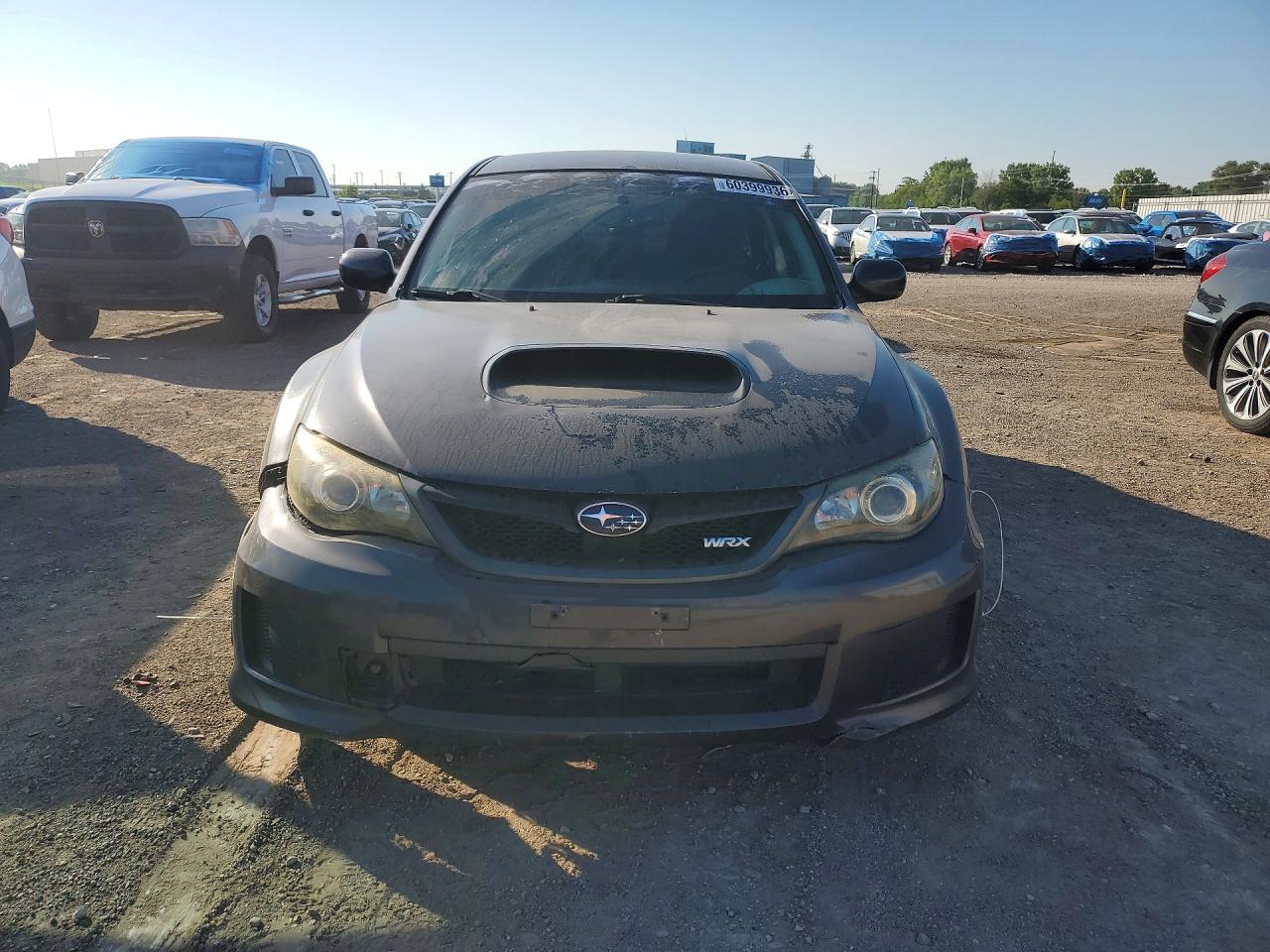 2012 Subaru Impreza Wrx Gray vin: JF1GV7E64CG002955