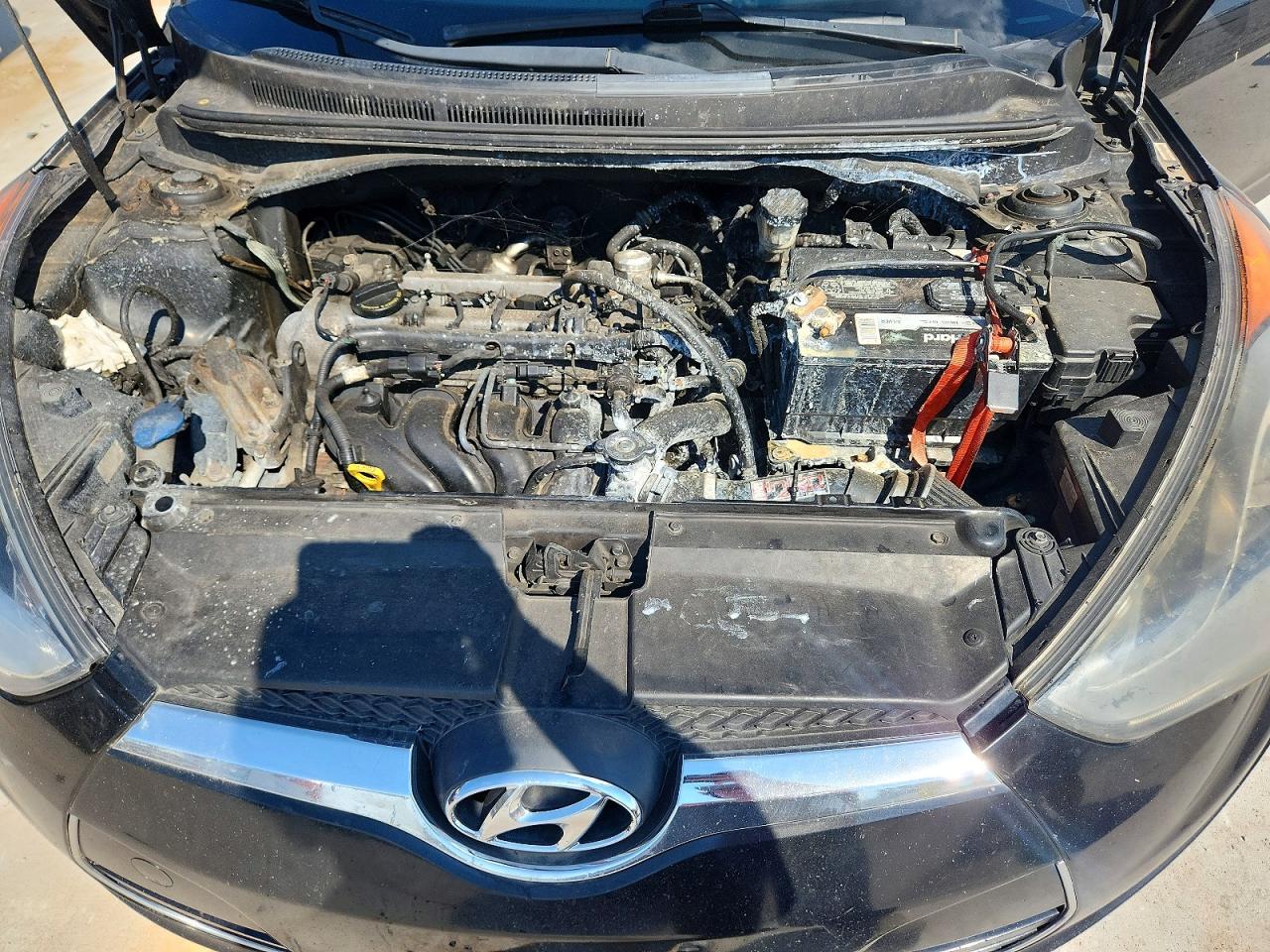 2013 Hyundai Veloster Base Черный vin: KMHTC6AD9DU146299