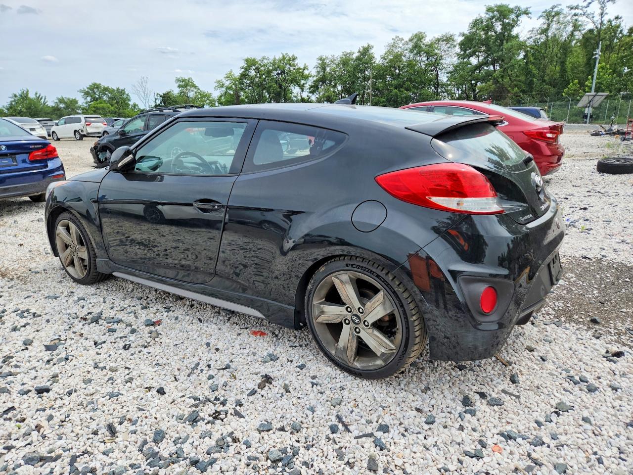 2013 Hyundai Veloster Turbo Black vin: KMHTC6AE8DU126117