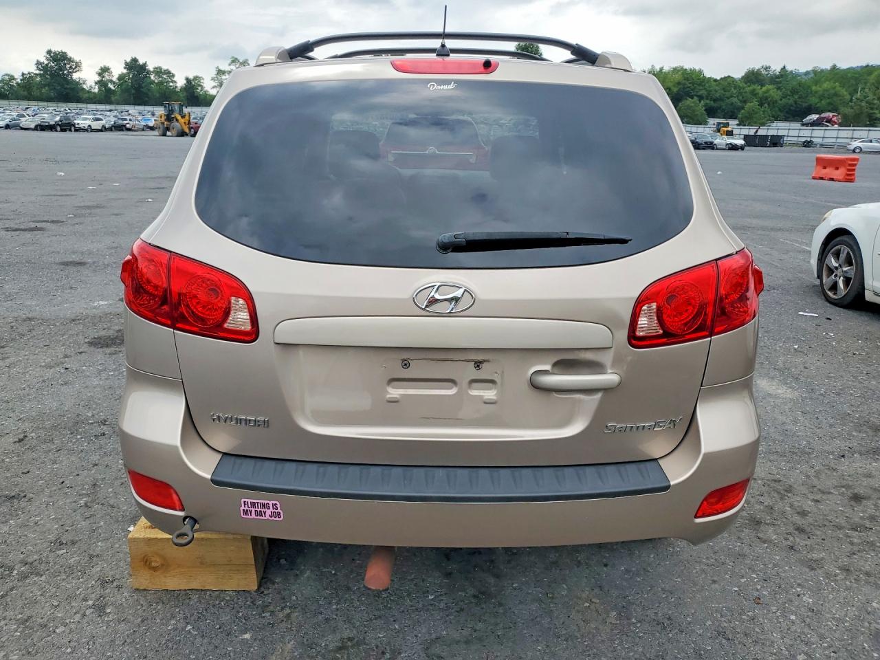 2007 Hyundai Santa Fe Se Желто-коричневый vin: 5NMSH13E77H023896