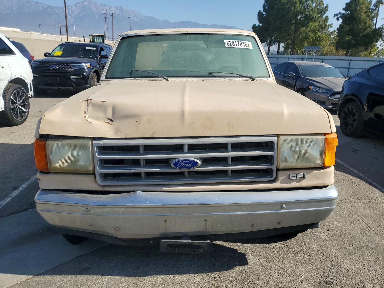 1991 Ford F150 Tan vin: 1FTEF15N8MLA03456