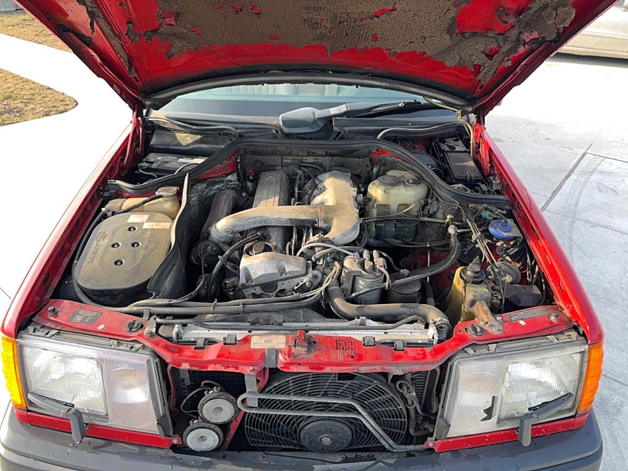 1987 Mercedes-benz 300 Tdt Red vin: WDBEB93D9HF024808