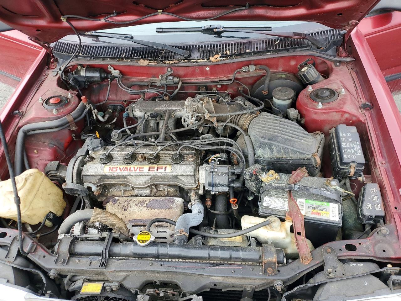 1992 Toyota Corolla Red vin: 2T1AE91A4NC180002