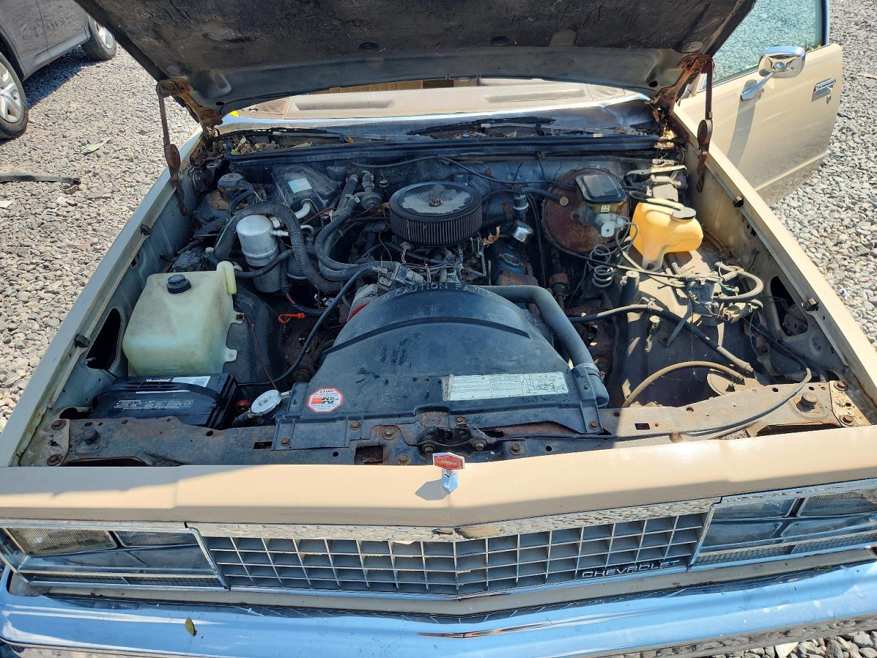 1982 Chevrolet Malibu Classic Бежевый vin: 1G1AW69K8CB175379