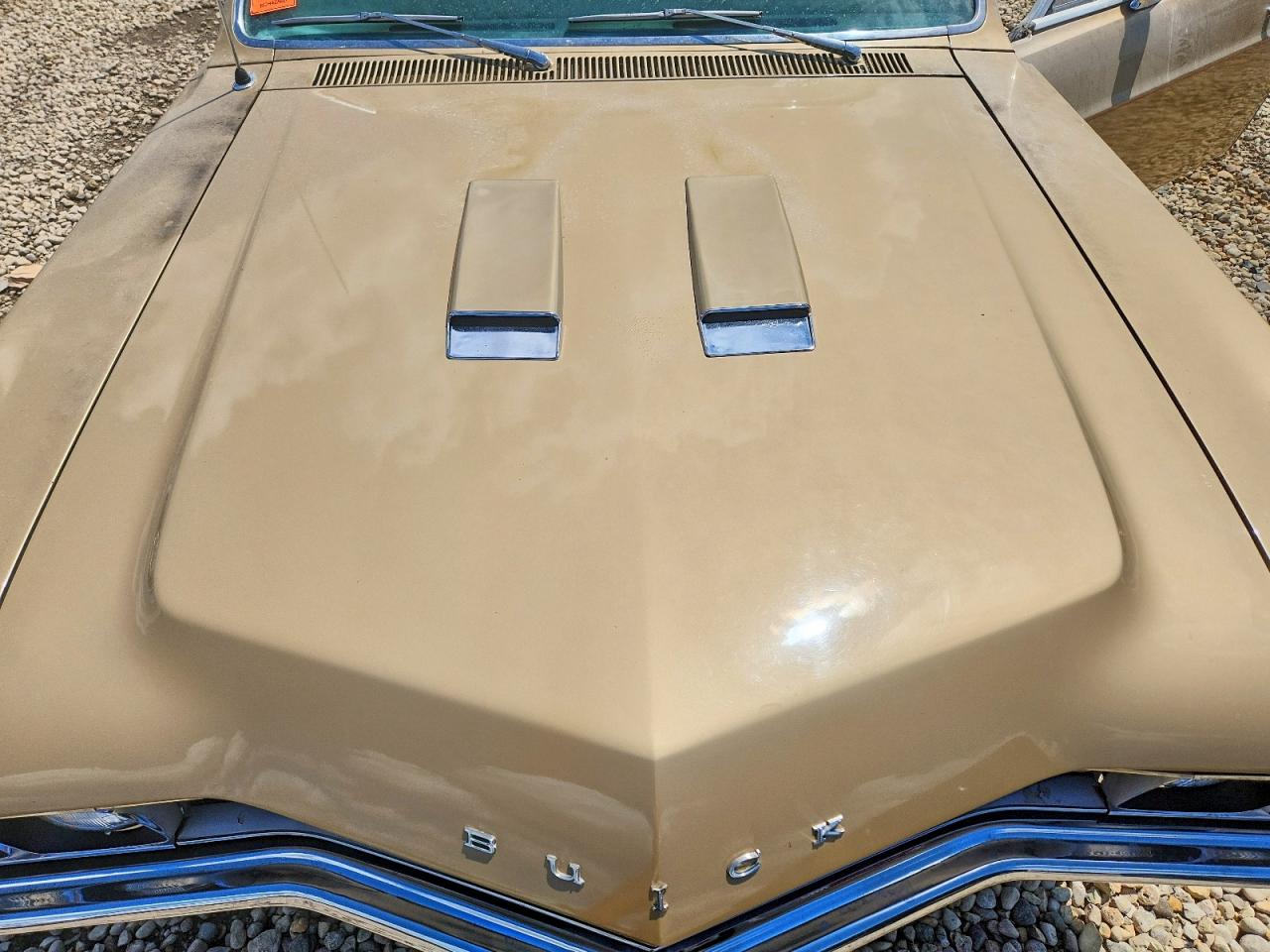 1967 Buick Gran Sport Gold vin: 446177K104411