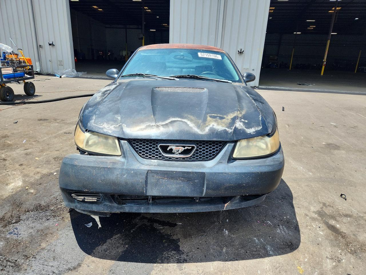 2003 Ford Mustang Black vin: 1FAFP40463F364673
