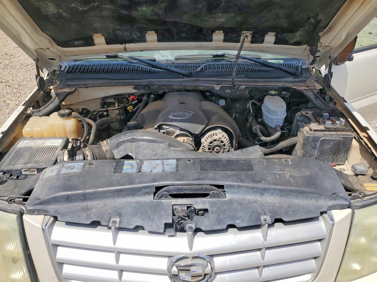 2004 Cadillac Escalade Luxury Белый vin: 1GYEK63N54R102674