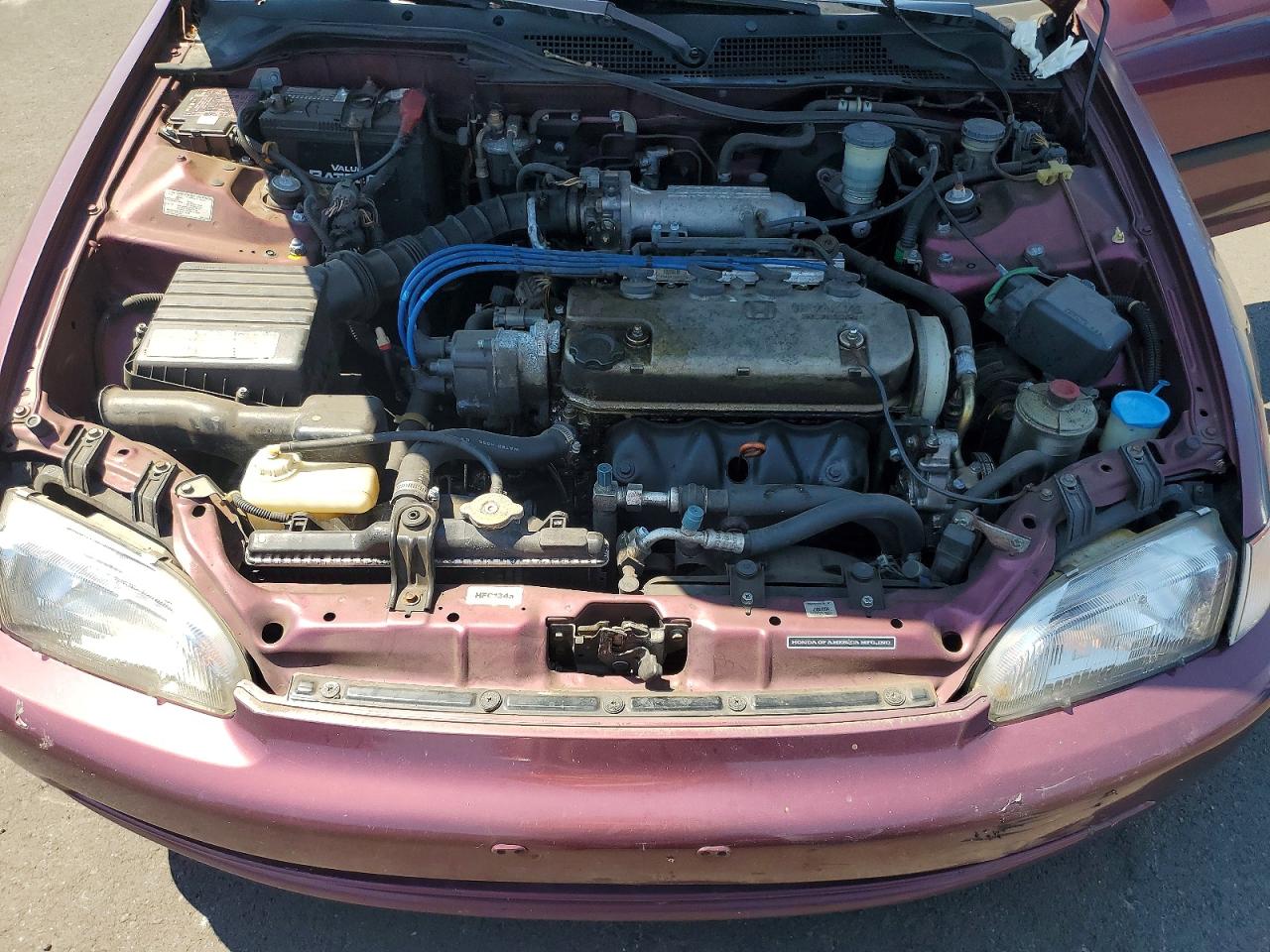 1994 Honda Civic Lx Purple vin: 1HGEG8558RL006307