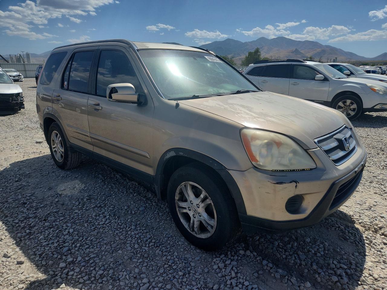 2005 Honda Cr-v Se Gold vin: JHLRD78995C036706