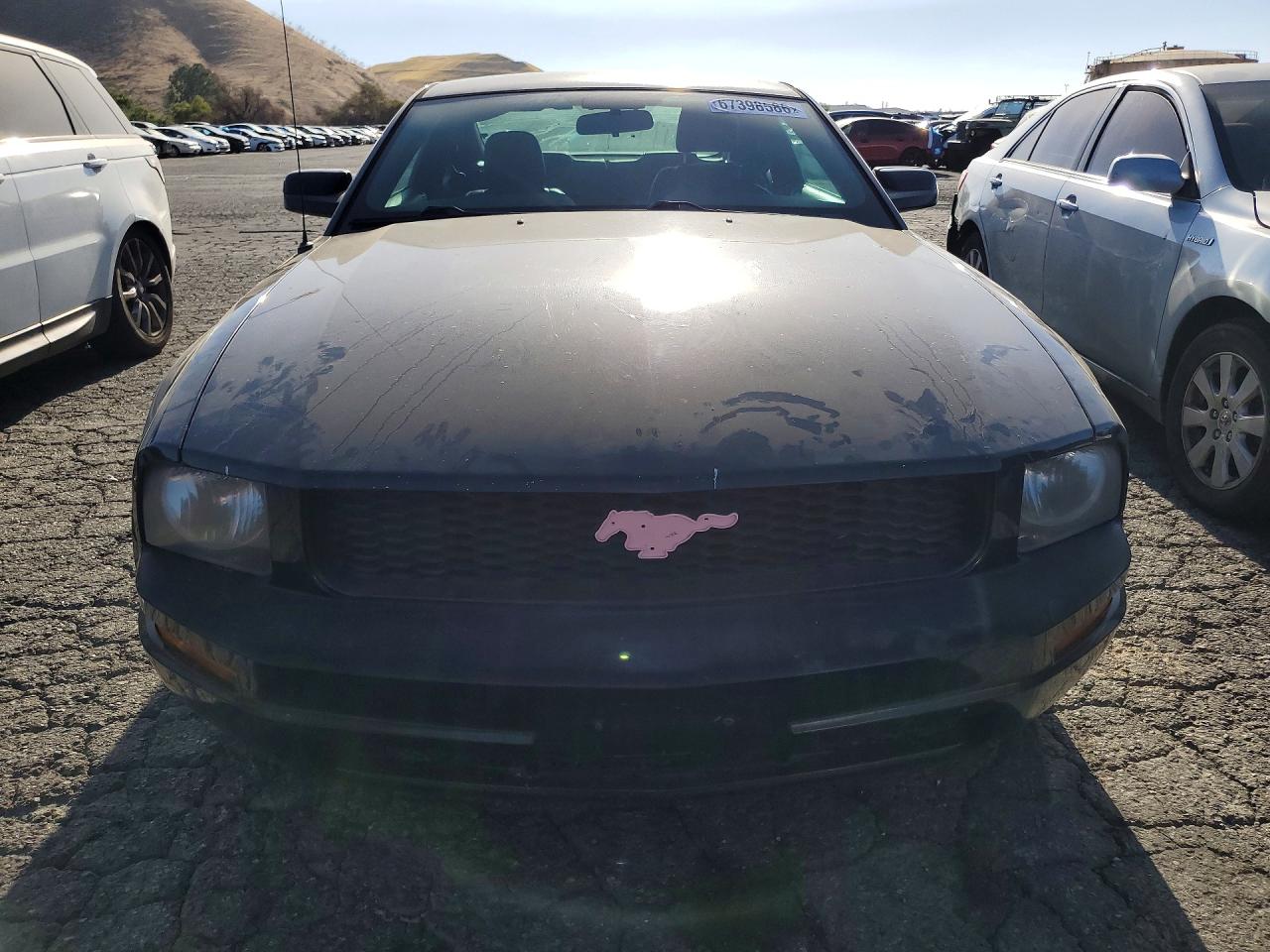 2008 Ford Mustang Black vin: 1ZVHT80N485148670