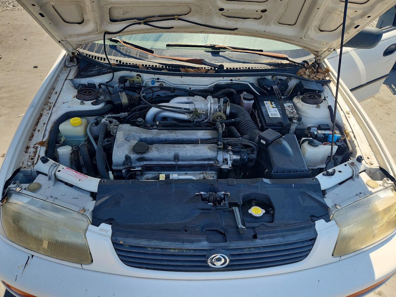 1996 Mazda Protege Dx Белый vin: JM1BB1418T0301499