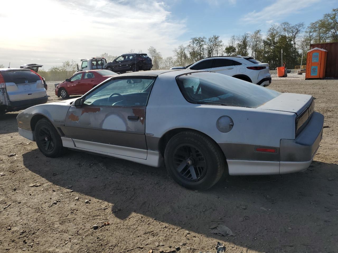 1989 Pontiac Firebird Trans Am Gray vin: 1G2FW21E0KL254344