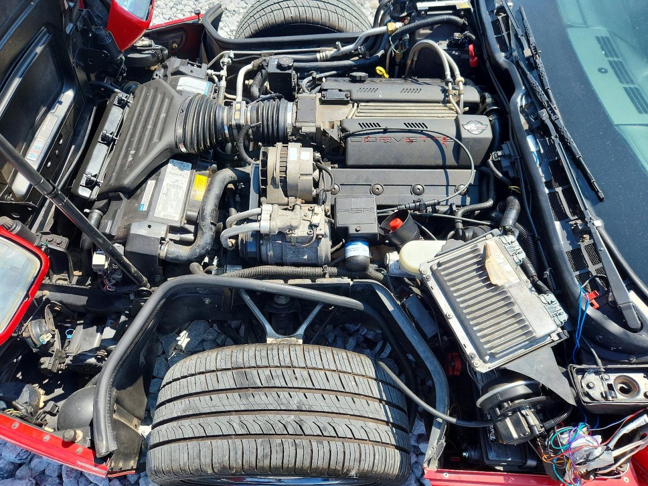 1996 Chevrolet Corvette Red vin: 1G1YY22P7T5100193