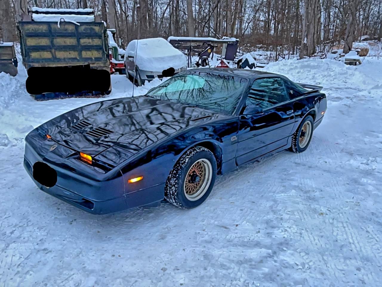 1988 Pontiac Firebird Trans Am Black vin: 1G2FW218XJL246566