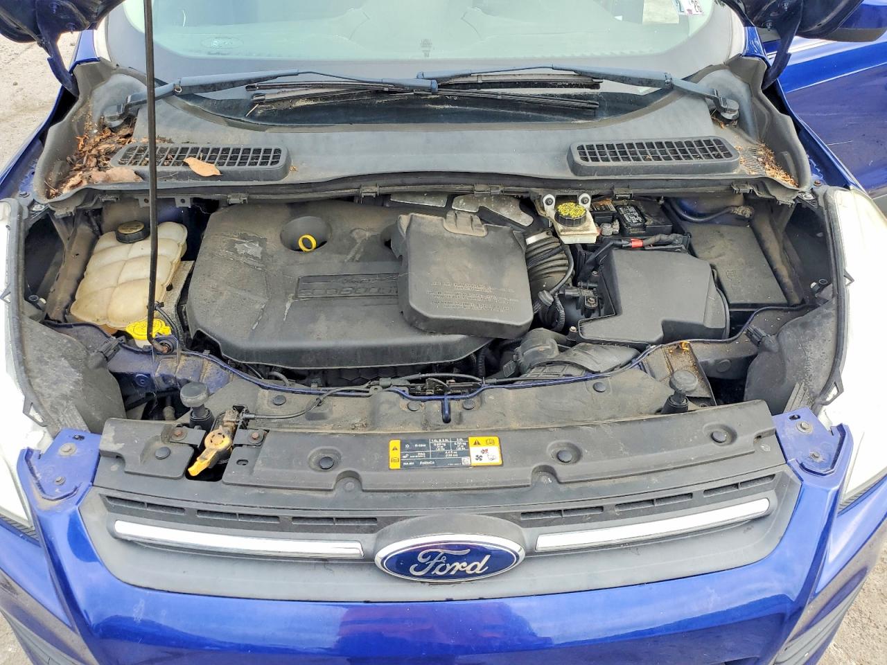 2013 Ford Escape Se Синий vin: 1FMCU9G95DUA71067