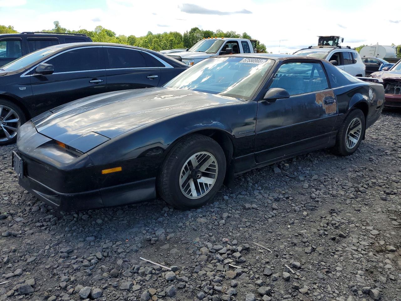 1990 Pontiac Firebird Black vin: 1G2FS23T1LL207221