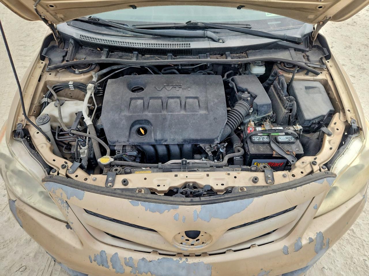 2011 Toyota Corolla Le Золотой vin: JTDBU4EE9B9148610
