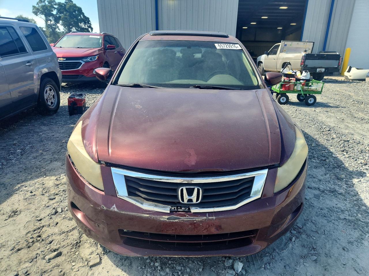 2008 Honda Accord Exl Burgundy vin: 1HGCP368X8A077120