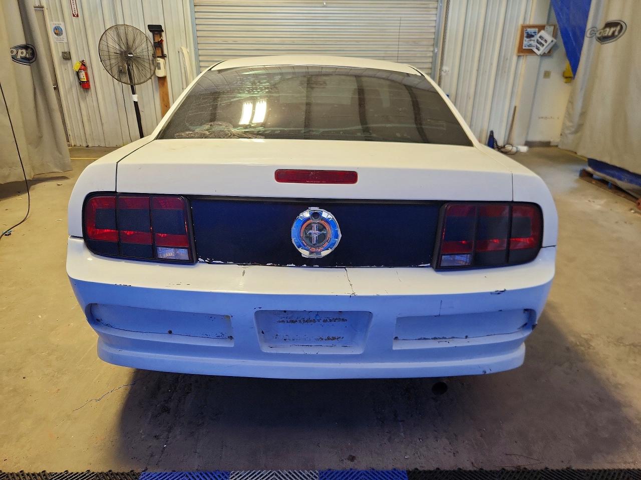 2005 Ford Mustang White vin: 1ZVFT80N155152369