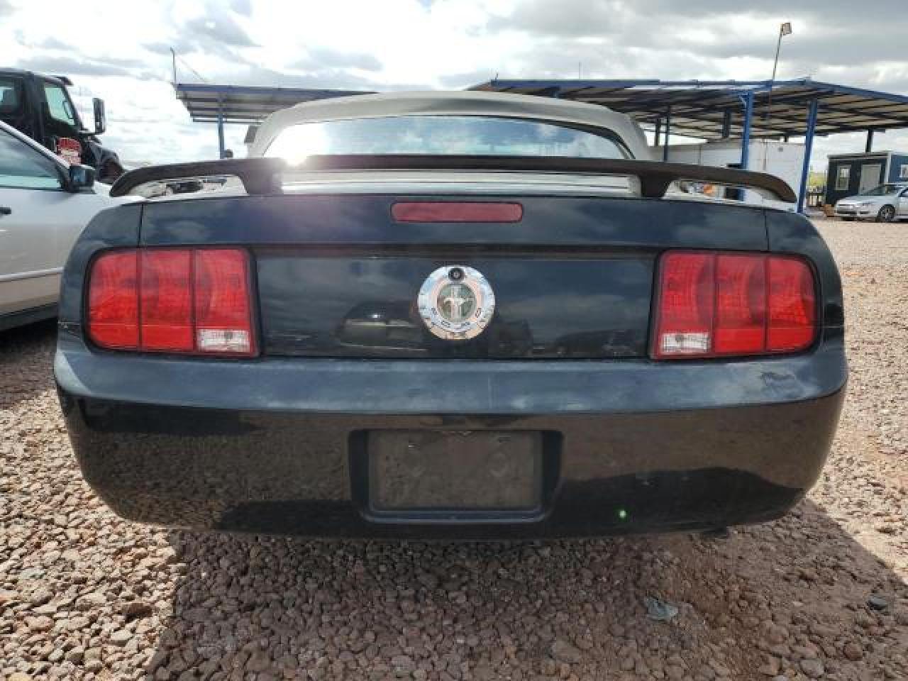 2006 Ford Mustang Black vin: 1ZVFT84N065125479