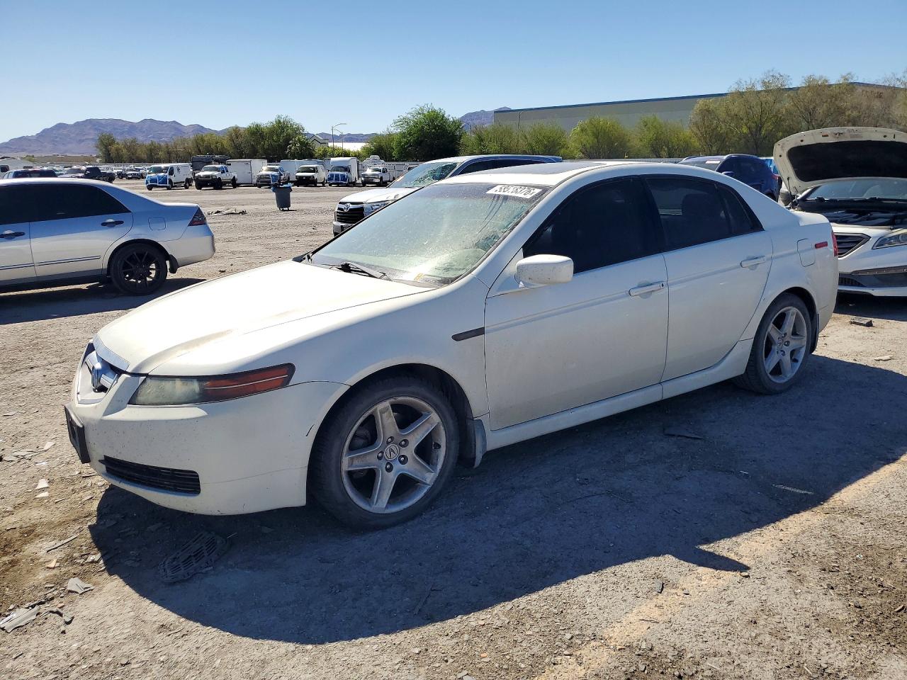 2005 Acura Tl White vin: 19UUA66215A062083