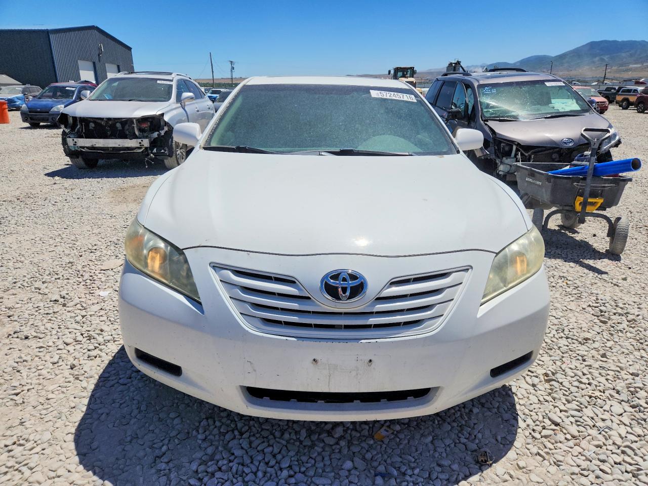 2007 Toyota Camry Le Белый vin: 4T1BE46K67U716359