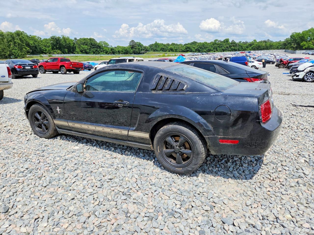2007 Ford Mustang Black vin: 1ZVFT80N775203750