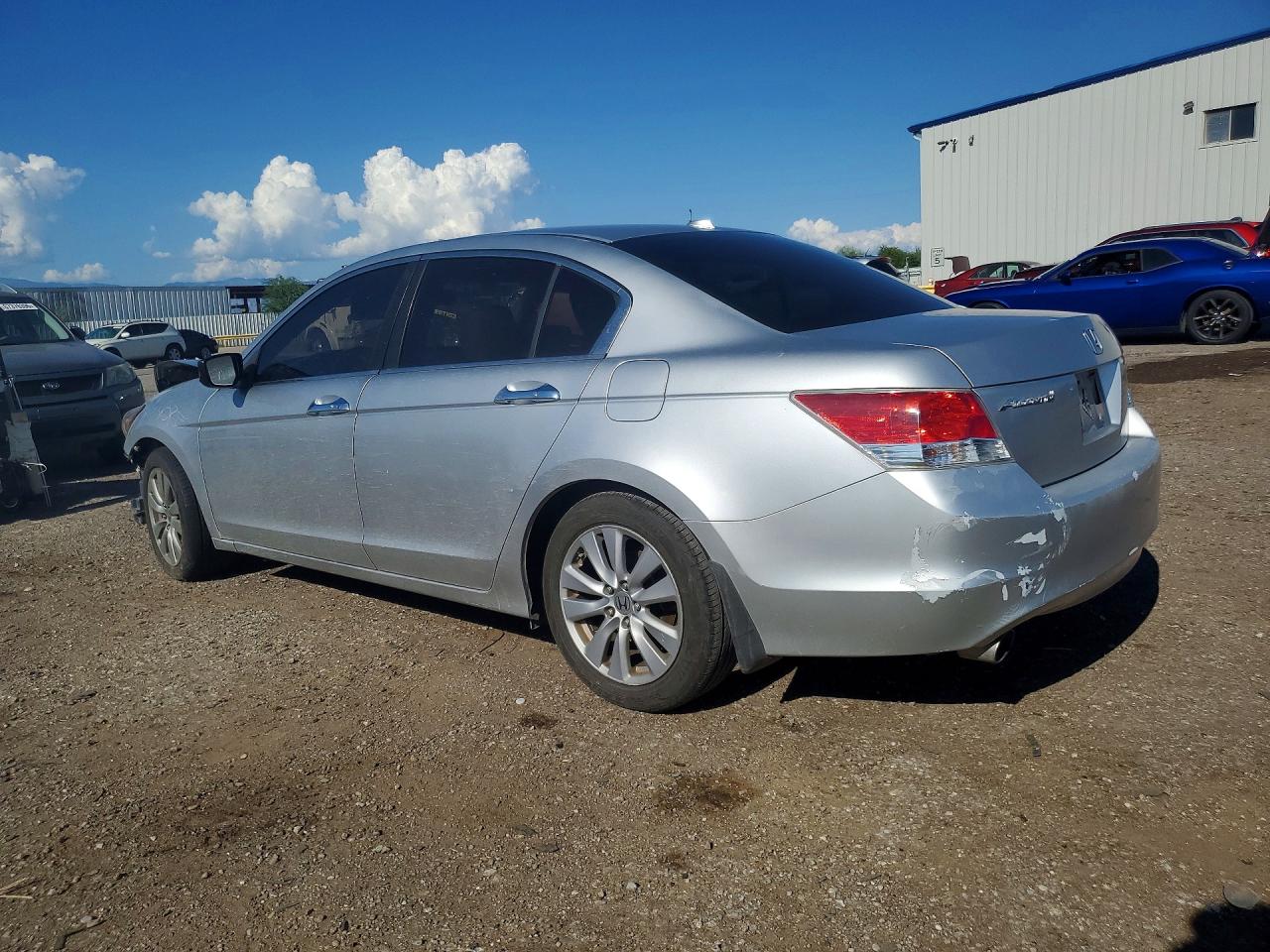 2010 Honda Accord Exl Silver vin: 1HGCP3F86AA005031