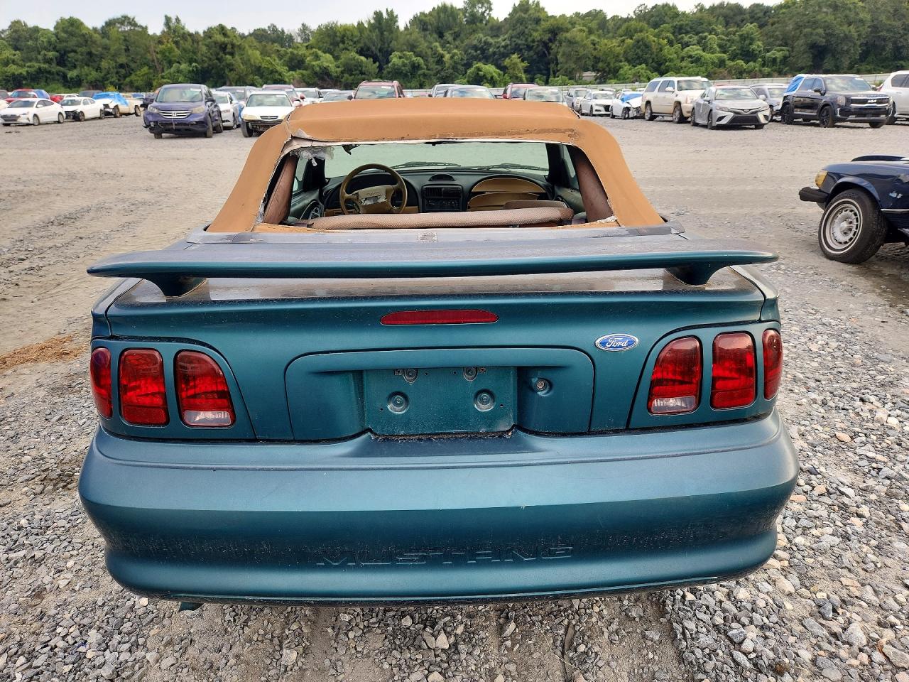 1996 Ford Mustang Green vin: 1FALP4447TF163409