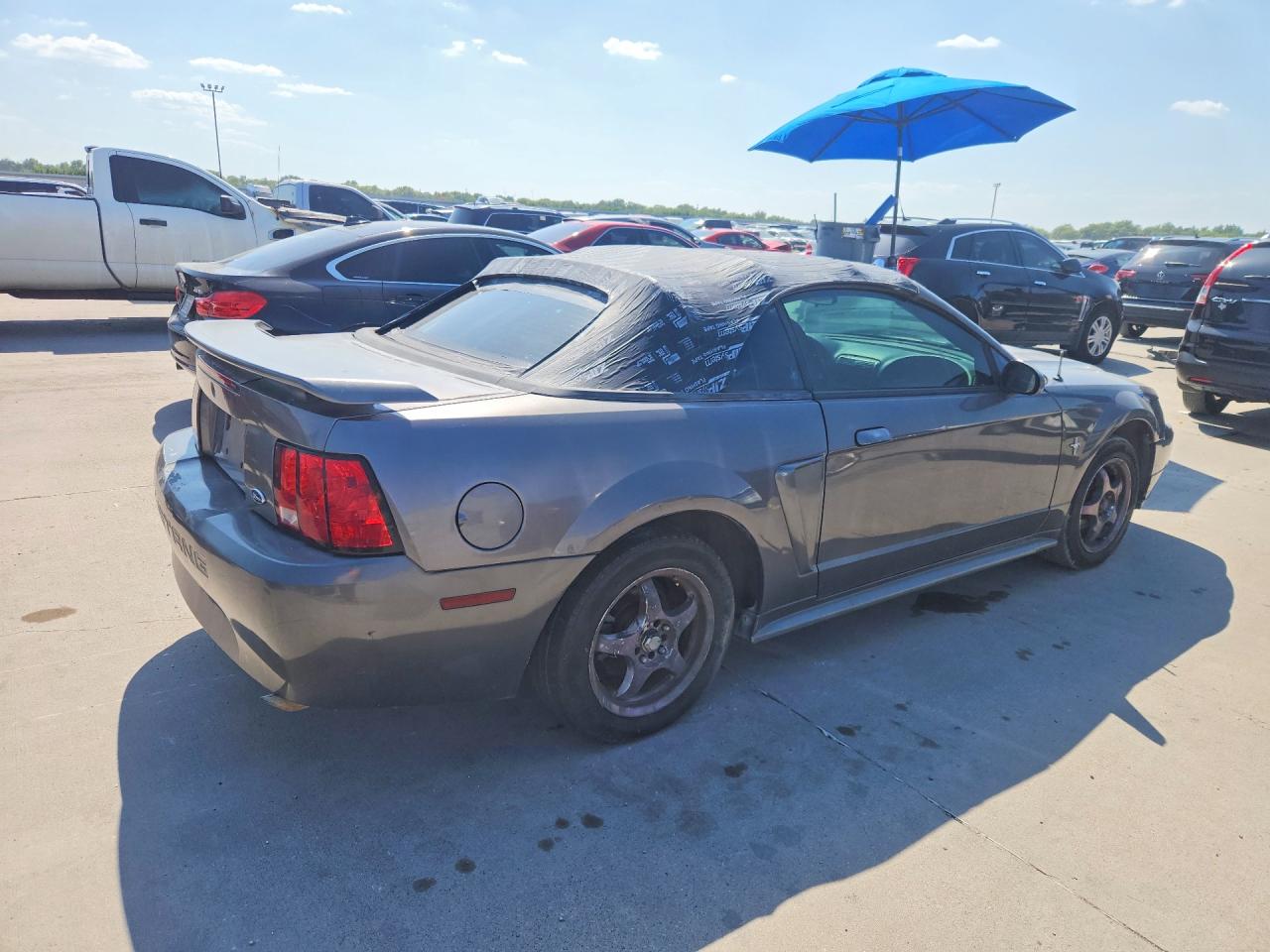 2003 Ford Mustang Угольный vin: 1FAFP44443F447643