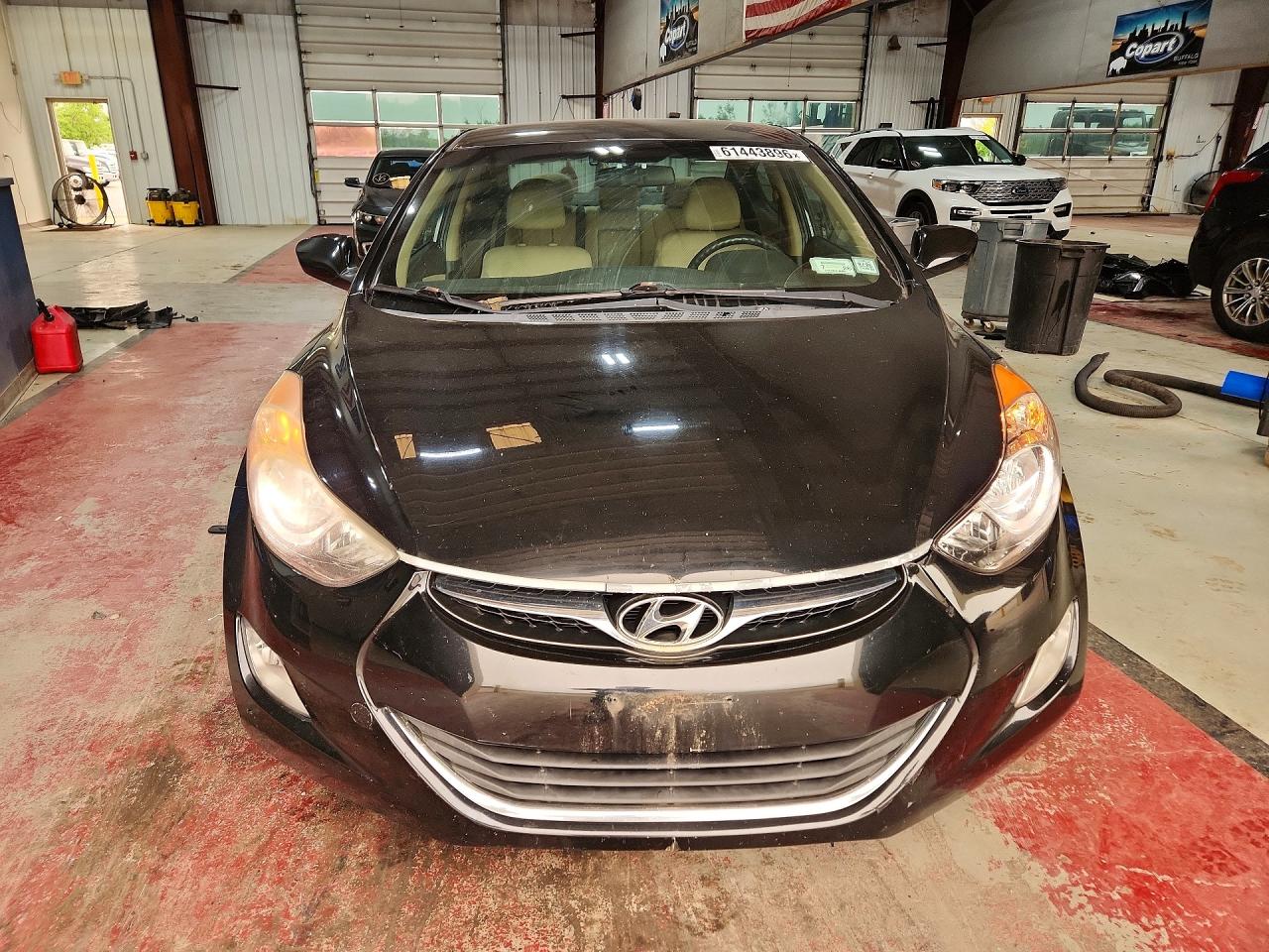 2013 Hyundai Elantra Gls Black vin: 5NPDH4AE3DH195046