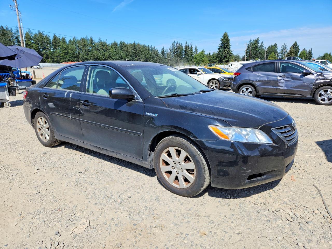 2009 Toyota Camry Hybrid Black vin: 4T1BB46K59U093134