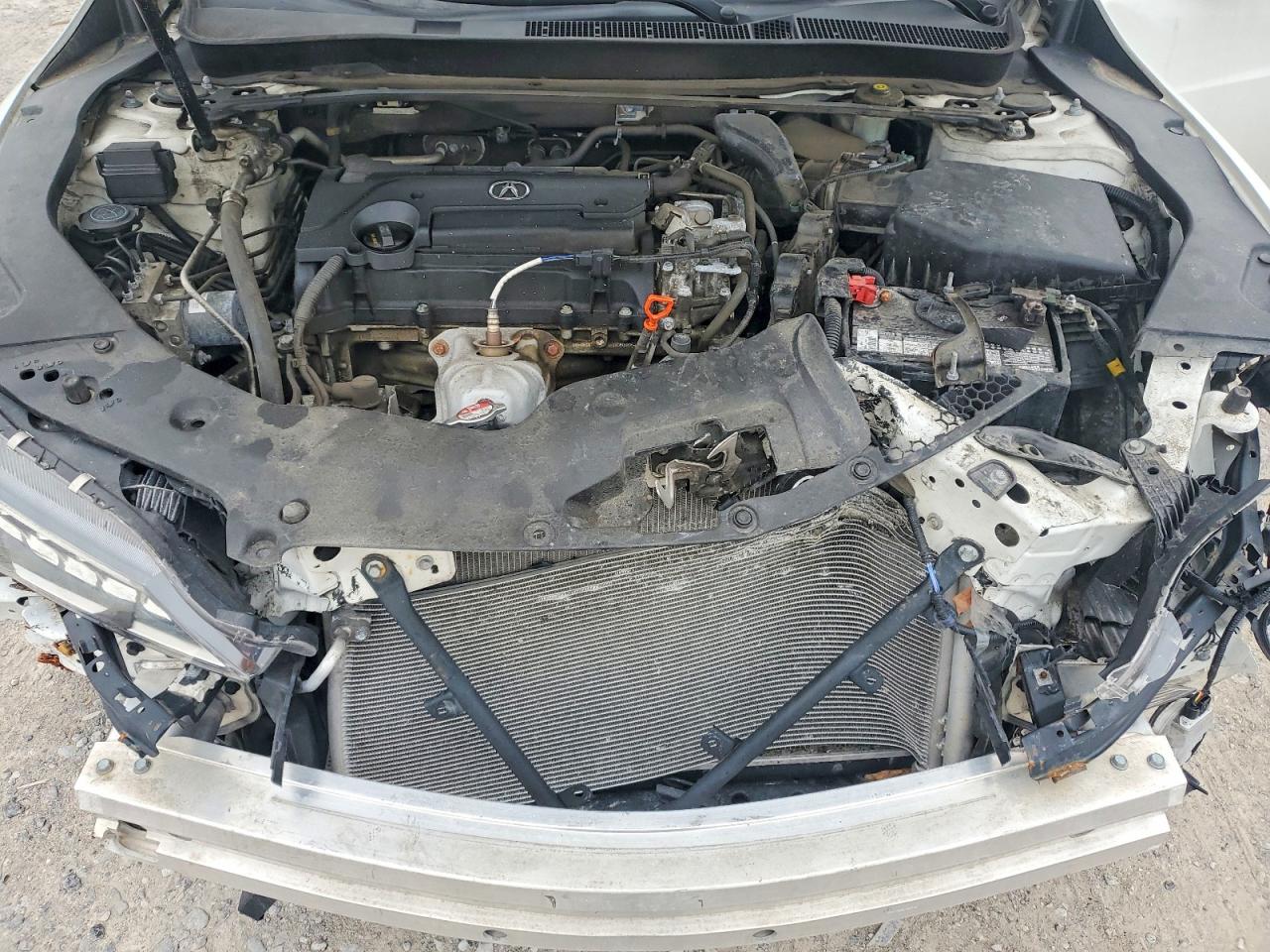 2015 Acura Tlx Tech White vin: 19UUB1F59FA026606