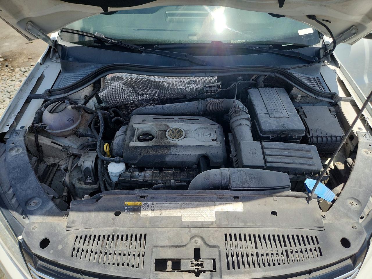 2014 Volkswagen Tiguan S Белый vin: WVGA3AX2EW554840