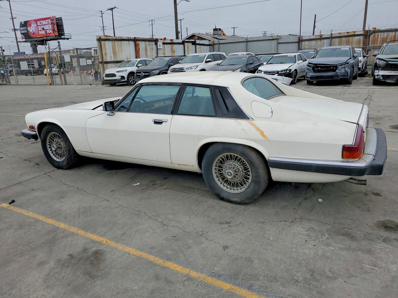 1984 Jaguar Xjs White vin: SAJNV5842EC113497