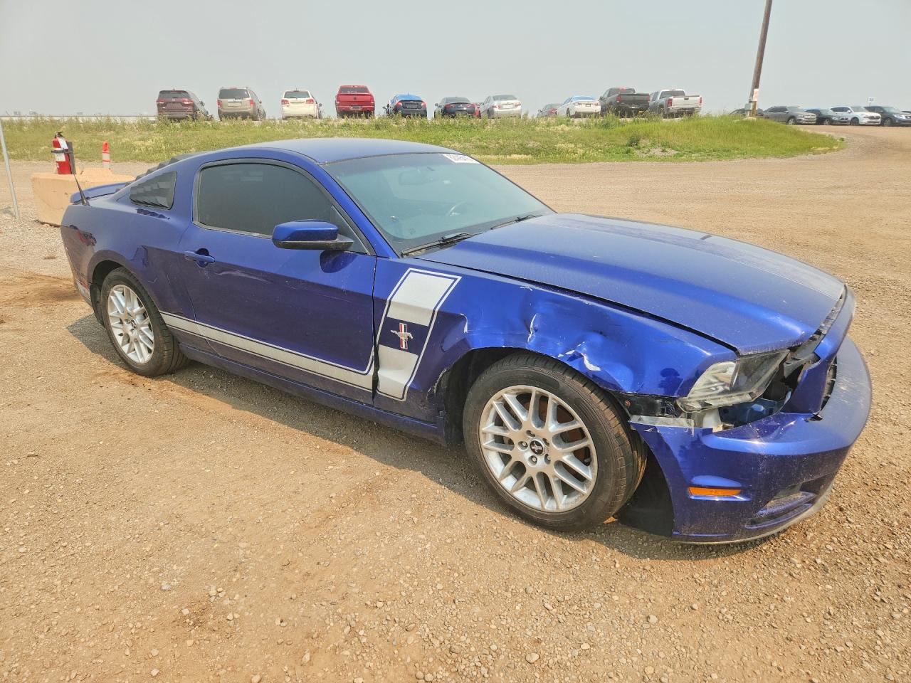 2014 Ford Mustang Синий vin: 1ZVBP8AMXE5317635