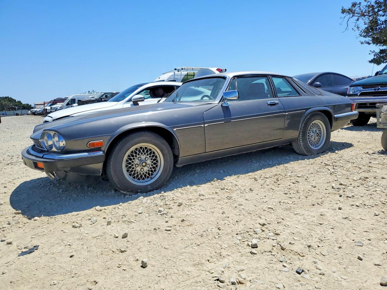1989 Jaguar Xjs Серый vin: SAJNA5844KC155676