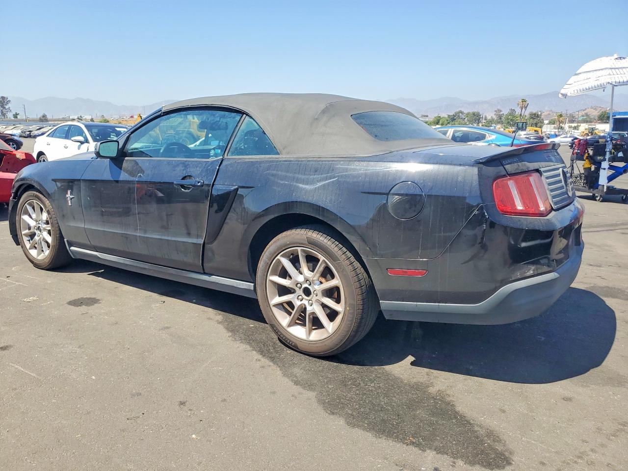 2010 Ford Mustang Black vin: 1ZVBP8EN1A5127395