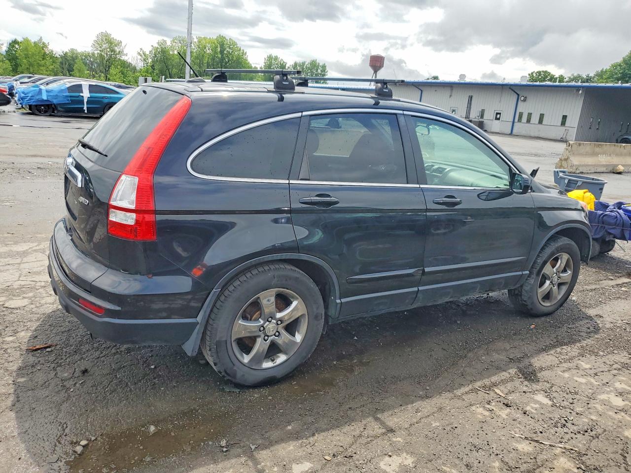 2010 Honda Cr-v Exl Black vin: 5J6RE4H72AL077299