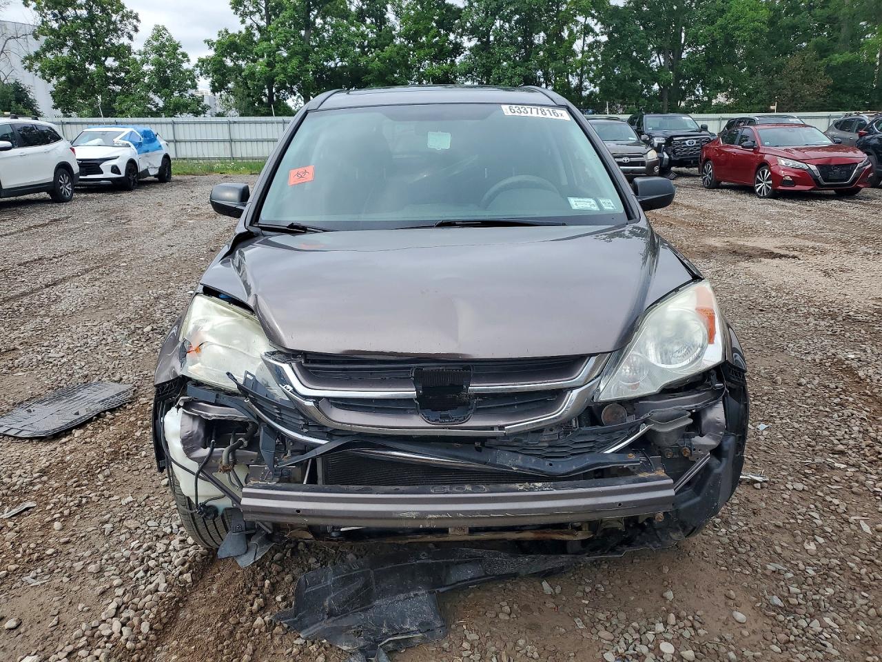 2010 Honda Cr-v Tan vin: 5J6RE4H59AL076651