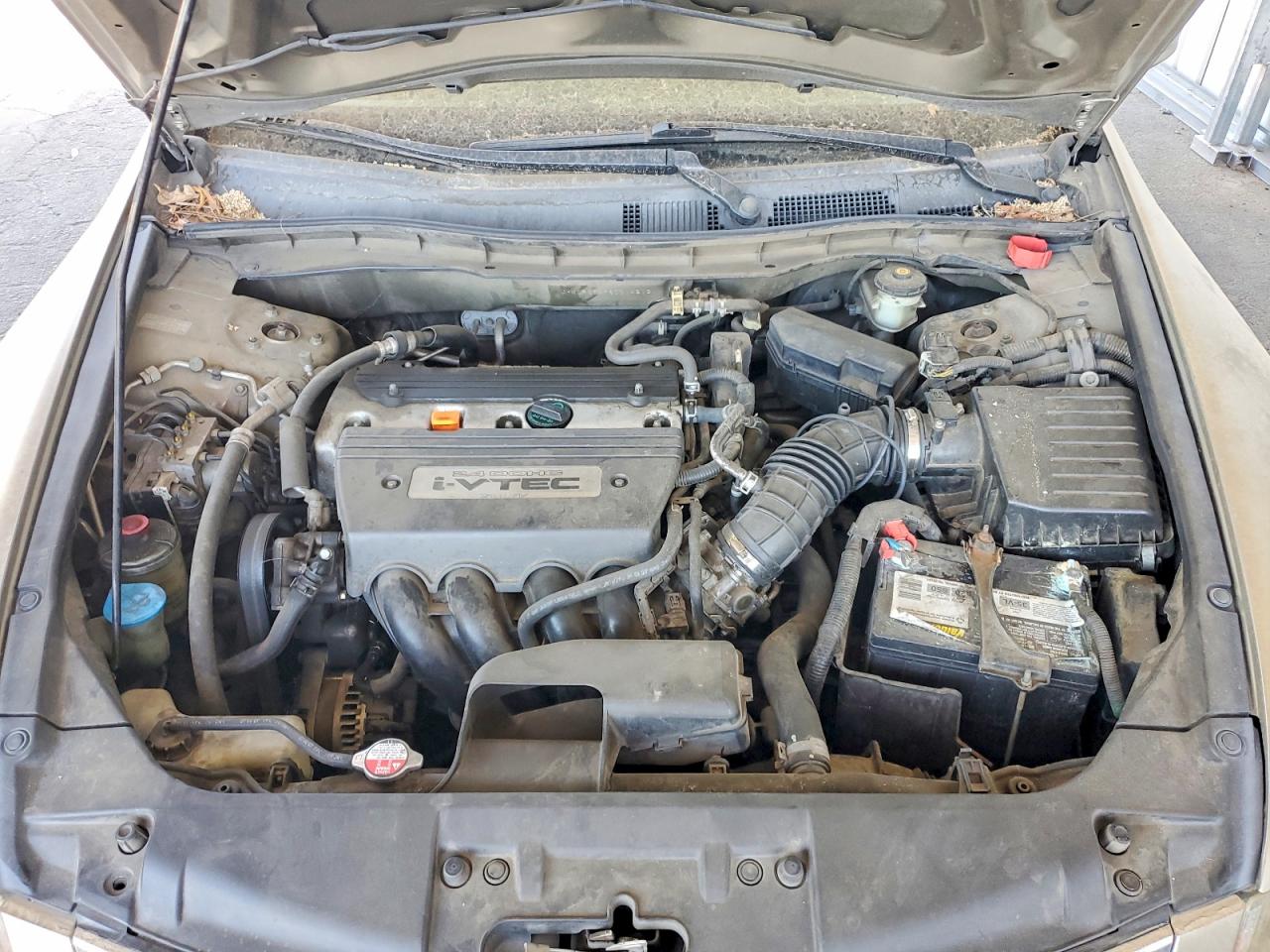 2008 Honda Accord Lxp Gold vin: JHMCP26498C014213